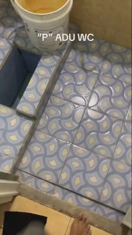 toilet antimainstream © TikTok/@americano.ice08 toilet antimainstream © TikTok/@americano.ice08