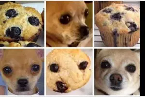 11 Potret kocak kamuflase hewan mirip makanan ini awalnya ngiler endingnya malah tepuk jidat