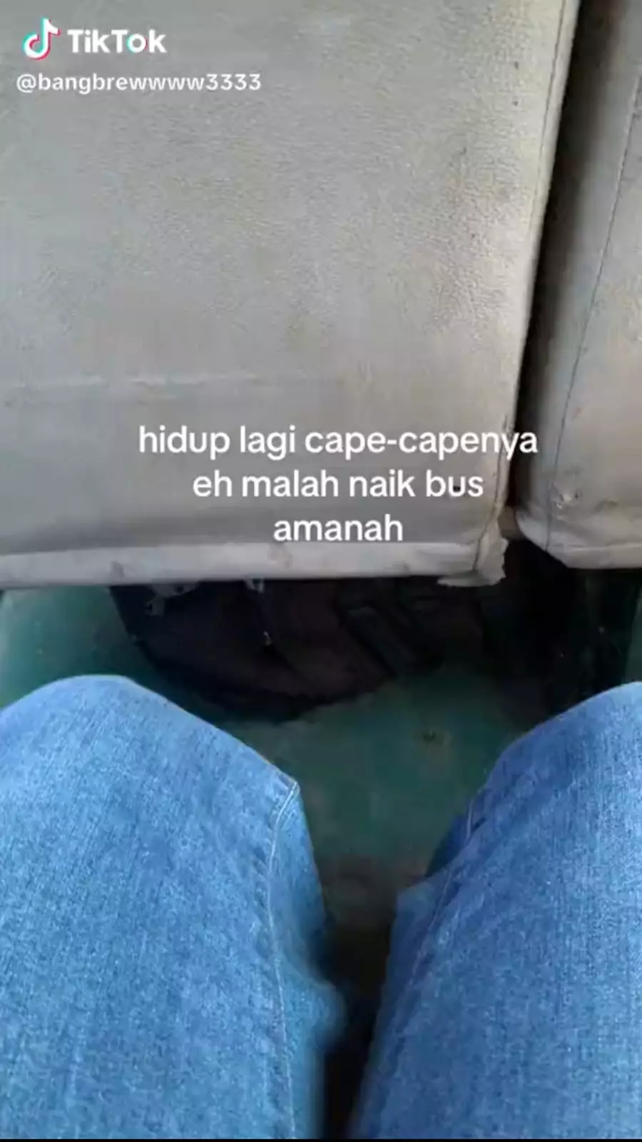 isi busnya bikin geleng kepala © TikTok