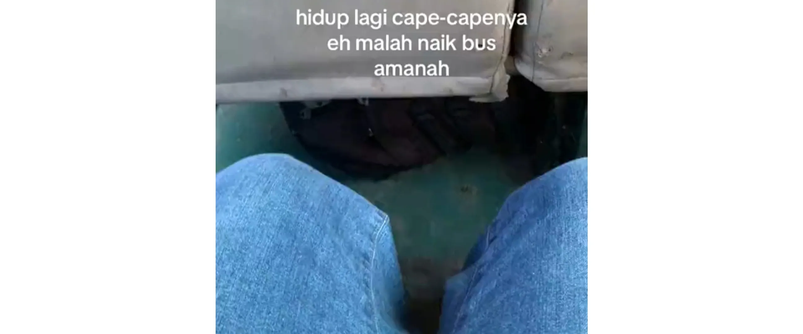 Momen lucu pria naik kendaraan umum saat pulang ke kampung, isi busnya bikin geleng kepala