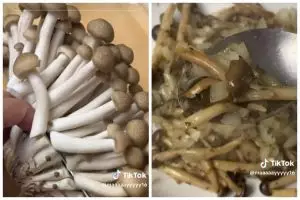 Tanpa direndam, begini cara jitu mengolah tumis jamur supaya nggak bau tengik