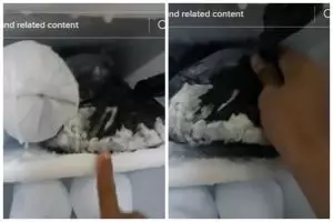 Bukan diberi air panas, cara mudah mengambil bungkus berisi bahan makanan yang menempel di rak freezer