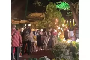 Konsep mewah bin unik pernikahan anak bos kebun binatang, bisa sambil ngasih makan hewan