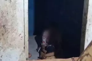 Aksi petugas damkar selamatkan bayi dari amukan ibu ODGJ ini penuh drama, sampai dilempar piring