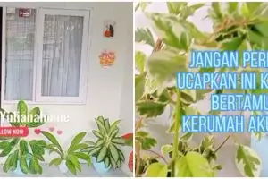 Dicibir sempit padahal interiornya Instagramable, 8 penampakan rumah biru ini homey abis