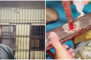 Aksi polisi sering bagikan makanan ke tahanan ini tuai pujian, uangnya dari bikin konten di TikTok