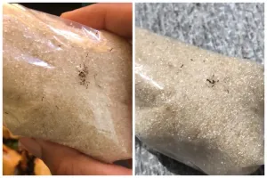 Tanpa bahan apa pun, ini cara mengusir semut di plastik kemasan gula pasir