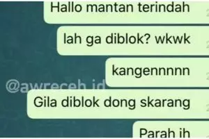 10 Chat lucu gangguin mantan ini bikin senyum getir, endingnya tak terduga
