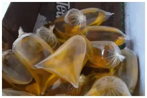 Tanpa rafia dan karet, ini cara praktis mengikat bungkus minyak goreng curah agar tidak tumpah