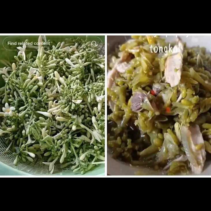Bukan pakai garam atau asam jawa, ini trik hilangkan pahit pada bunga pepaya pakai 1 jenis daun