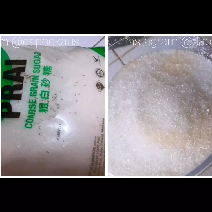 Hanya pakai 1 bumbu dapur, ini cara mudah mengusir semut di gula pasir