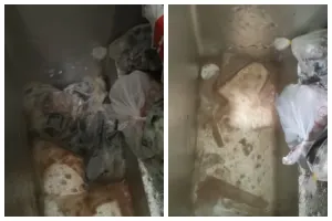 Bukan disiram air panas, ini trik cepat mencairkan daging beku di freezer cuma butuh waktu 10 menit