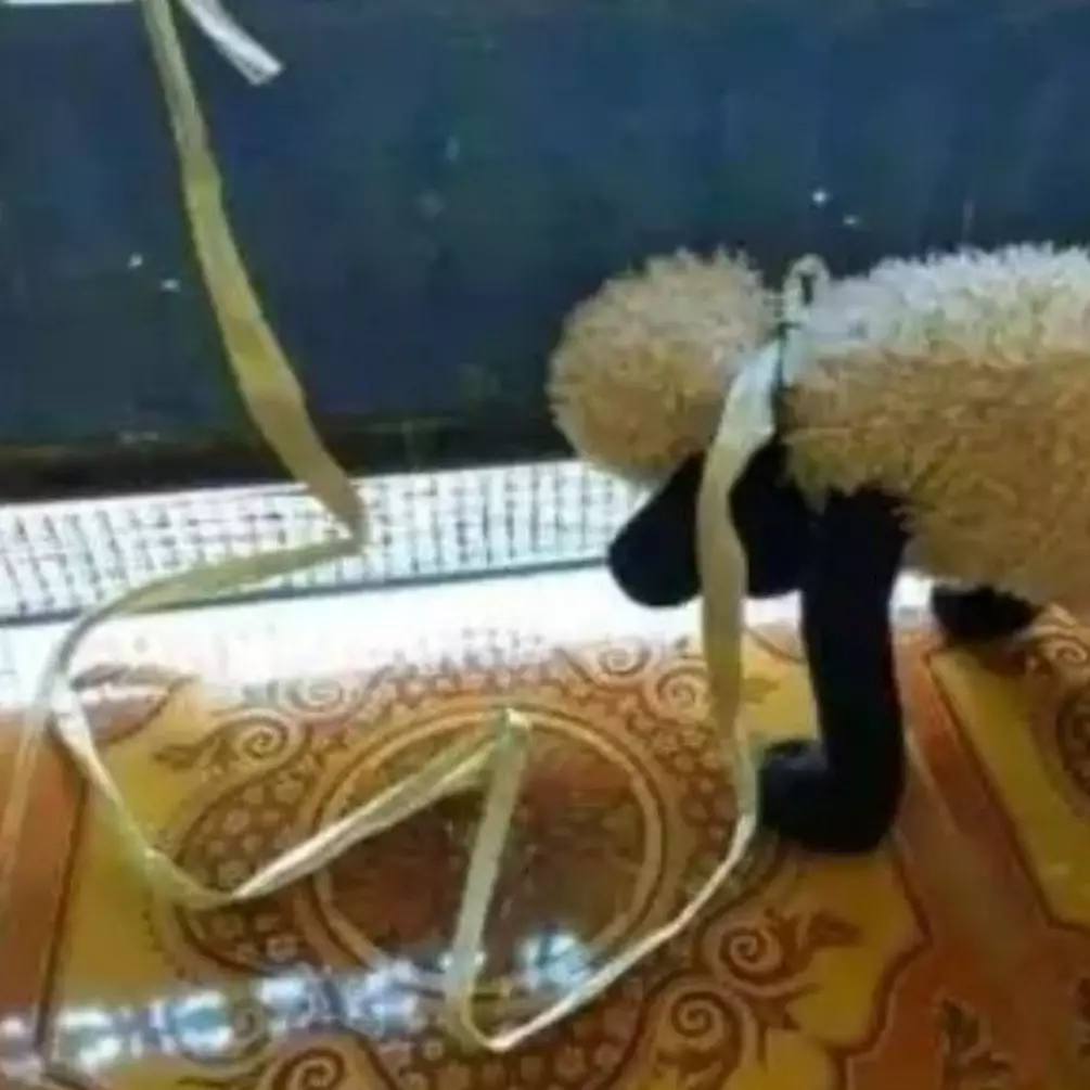 9 Potret kocak Hari Raya Kurban ala mahasiswa ini bikin senyum kecut, kamu pernah rasain?