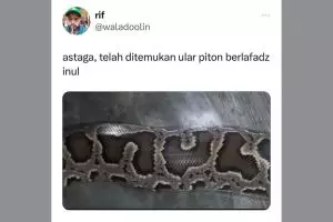 11 Potret kebetulan pada hewan ini unik banget, jangan sampai masuk grup WA keluarga