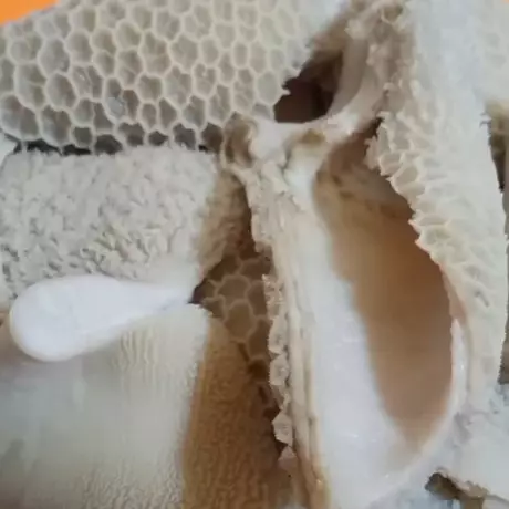 Trik merebus babat agar empuk dalam 17 menit, tak bau, dan hemat gas