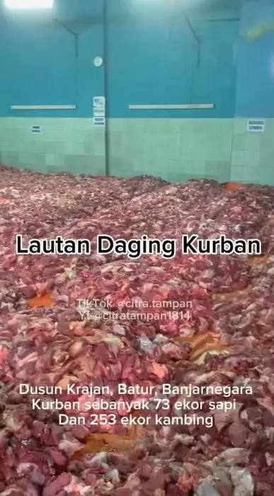viral penampakan lautan daging qurban TikTok viral penampakan lautan daging qurban TikTok
