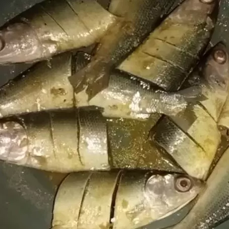 Bukan dikeringkan atau dimasukkan kulkas, ini cara mudah mengawetkan ikan agar tahan berhari-hari