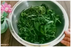 Cara praktis merebus daun singkong agar tetap hijau dan empuk pakai 3 bahan dapur
