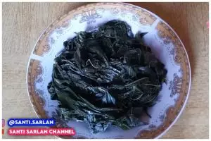 Tanpa baking soda, ini trik merebus daun singkong agar tetap hijau dan cepat empuk