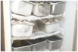 Trik memanaskan bakso beku dari freezer agar kembali kenyal dan nggak basi hingga seharian