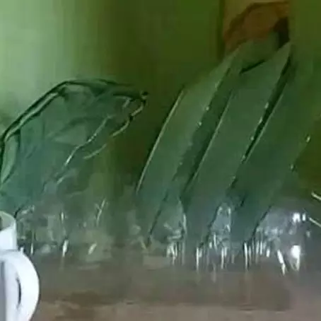Jangan langsung dibuang, ini cara kreatif menyulap botol bekas jadi rak piring yang cantik dan kokoh