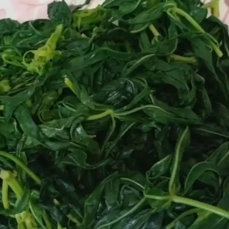 Cuma butuh waktu 5 menit, begini cara merebus daun singkong agar lembut dan warnanya tetap cerah