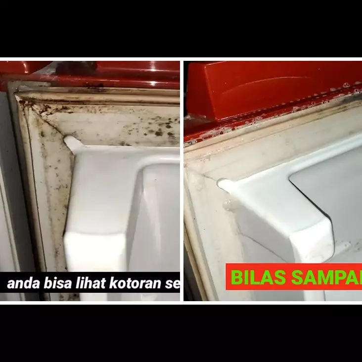 Tanpa perlu pasta gigi, ini trik menghilangkan jamur di karet kulkas pakai 2 bahan