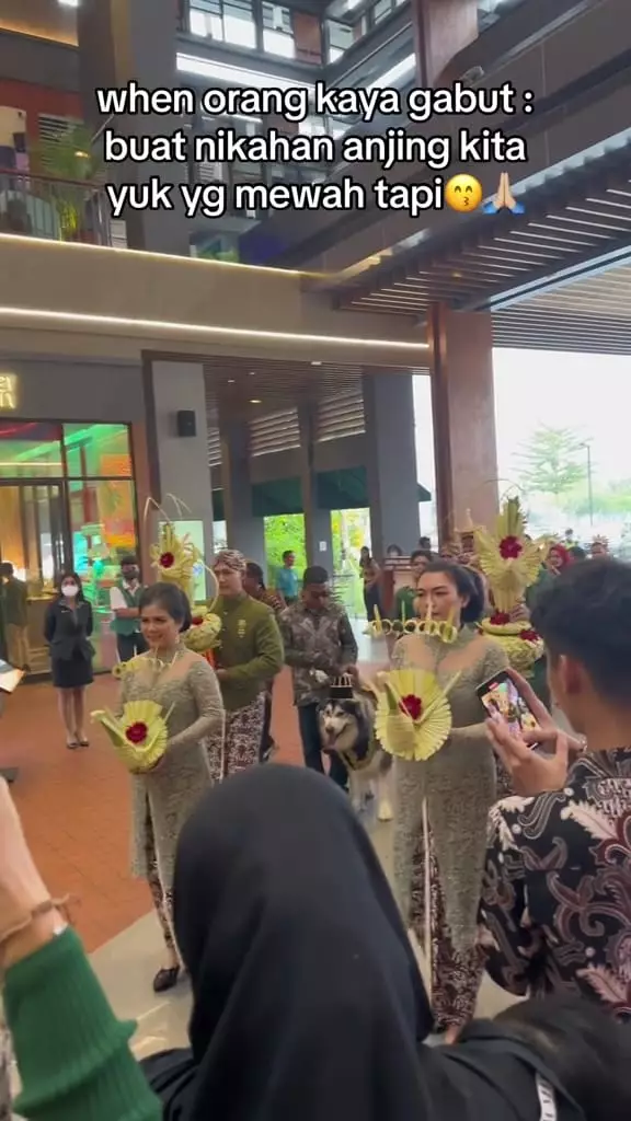 Nikahan anjing mewah di PIK © TikTok