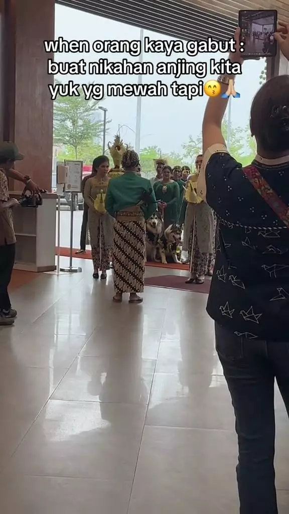 Nikahan anjing mewah di PIK © TikTok