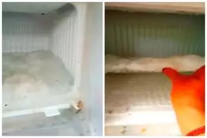 Cuma 5 menit, begini cara membersihkan bunga es tebal di freezer kulkas 1 pintu