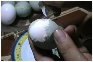 Bukan pakai garam, ini trik merebus telur agar cangkangnya gampang dikupas pakai 1 jenis daun rempah