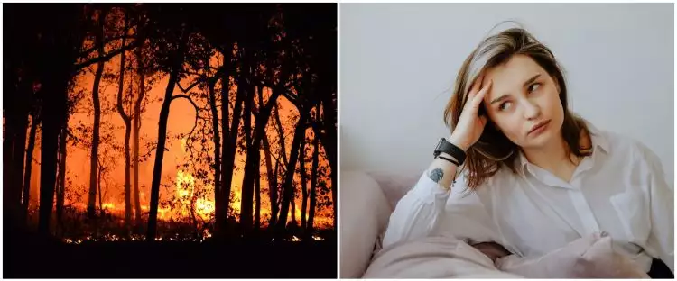 11 Arti mimpi kebakaran hutan menurut psikologi, kebutuhan untuk lakukan perubahan