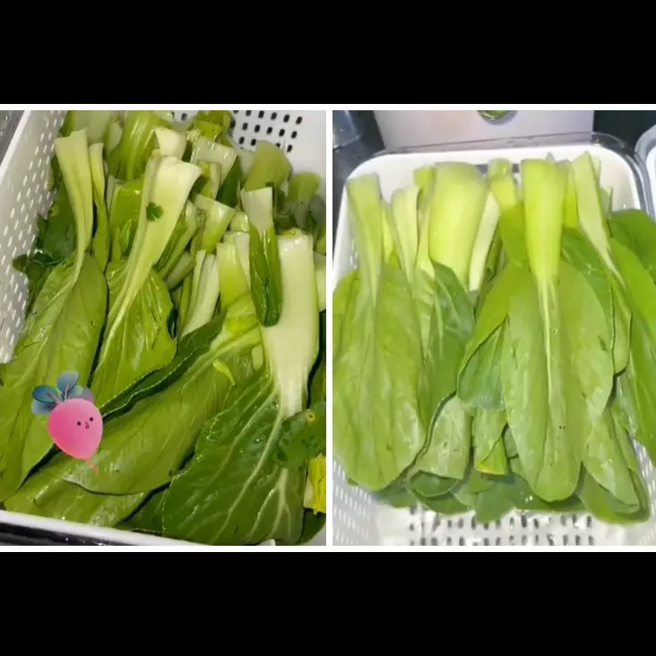 Bukan garam atau cuka, ini trik mencuci sayur agar bebas kuman dan pestisida cuma pakai 1 bahan dapur