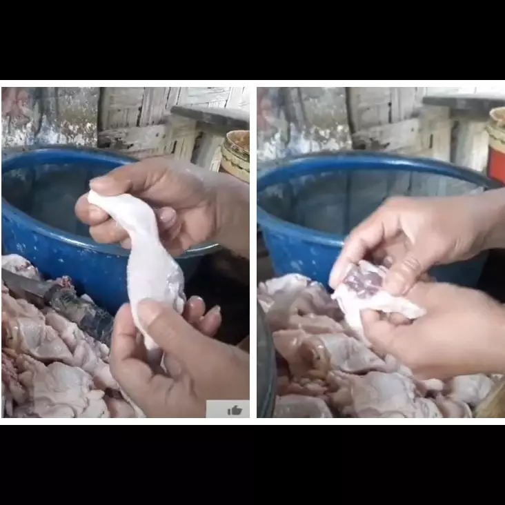 Tanpa bahan apapun, begini cara ampuh agar daging ayam tak mengeluarkan darah saat digoreng