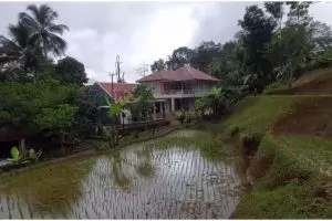 Rumah megah mepet persawahan ini milik pedangdut top, intip 11 penampakannya yang bikin takjub