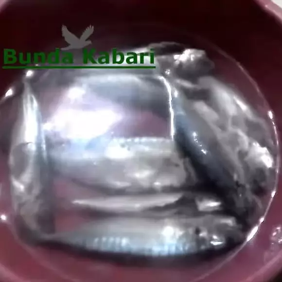 Cuma pakai 1 bahan dapur, ini cara menghilangkan formalin pengawet pada ikan