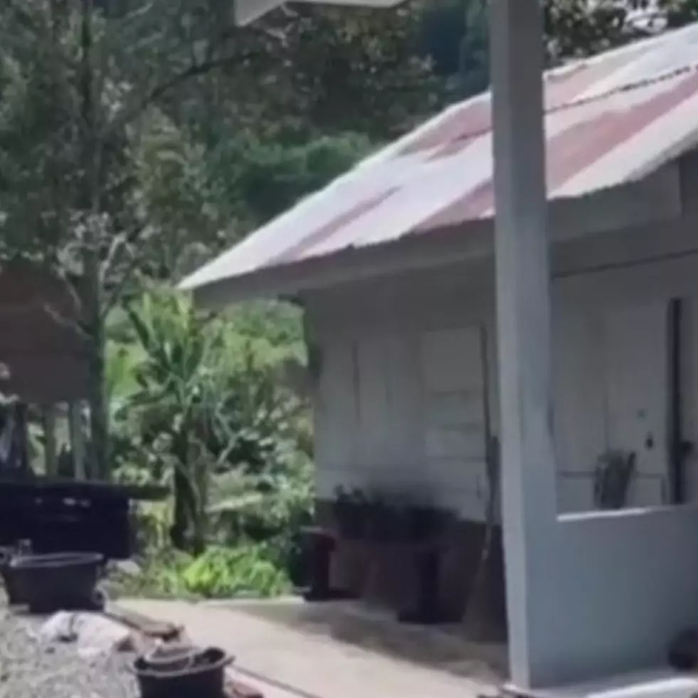 Rumah sederhana dikelilingi pemandangan asri bak resort, ini 7 penampakannya berasa healing tiap hari