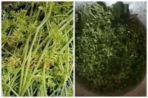 Bukan asam jawa atau garam, trik rebus bunga pepaya pakai 1 jenis daun ini bikin rasa pahitnya hilang