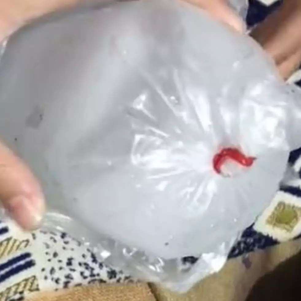 Cara menjaga es batu agar tak mencair ala anak pesantren ini nggak kepikiran, idenya bikin ngakak