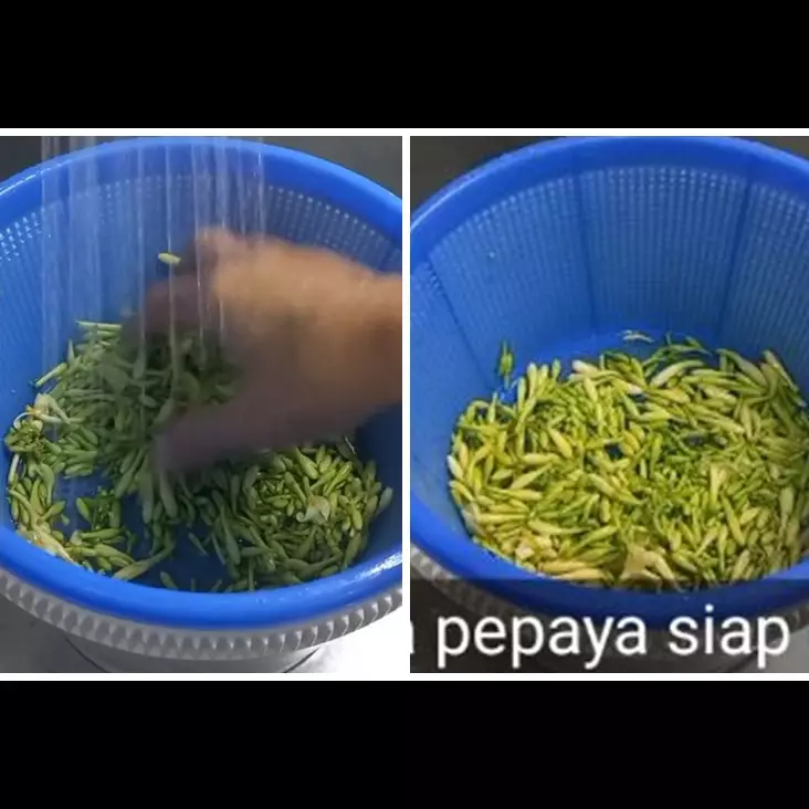 Tak perlu direbus, ini trik menghilangkan rasa pahit bunga pepaya pakai 1 bahan dapur