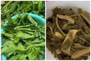 Bukan pakai tanah liat atau asam jawa, ini cara hilangkan pahit daun pepaya cuma pakai 1 bahan alami