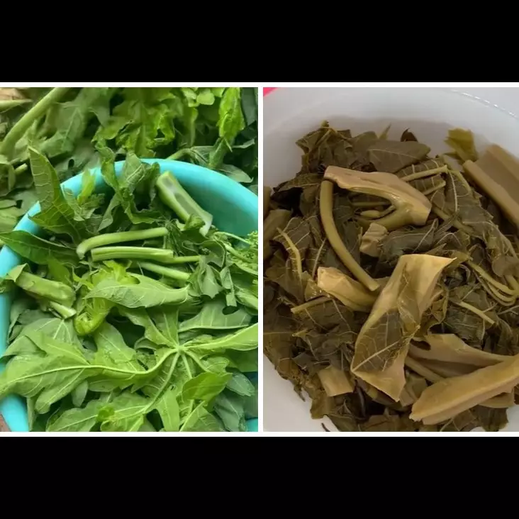 Bukan pakai tanah liat atau asam jawa, ini cara hilangkan pahit daun pepaya cuma pakai 1 bahan alami