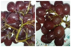 Bukan pakai garam, ini trik hilangkan lapisan lilin pada anggur cuma pakai 1 bahan dapur
