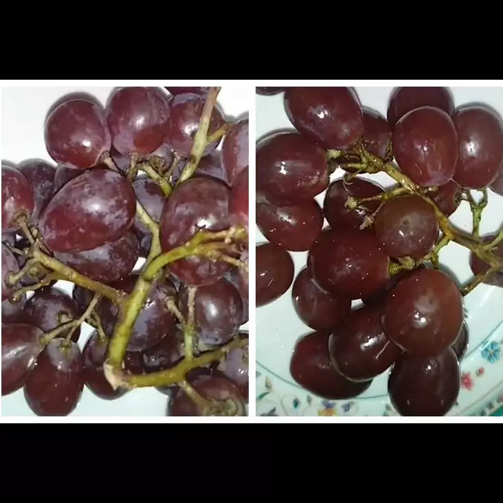 Bukan pakai garam, ini trik hilangkan lapisan lilin pada anggur cuma pakai 1 bahan dapur