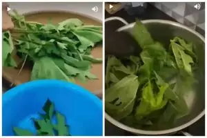 Tanpa baking soda atau tanah liat, ini trik rebus daun pepaya antipahit dan empuk pakai 3 bahan dapur