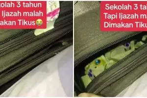 Capek-capek sekolah 3 tahun ijazah malah dimakan tikus, penampakannya bikin nyesek