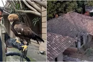 Dulu gubug bambu reyot kini megah, intip 11 potret rumah Panji Petualang sebelum dan sesudah sukses