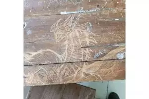 11 Potret nyeleneh kelakuan pelajar di kelas ini bikin tepuk jidat, auto dipanggil guru BK