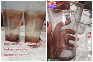 Cuma 10 menit, ini cara lunturkan noda kerak teh membandel di gelas kaca pakai 1 bahan dapur