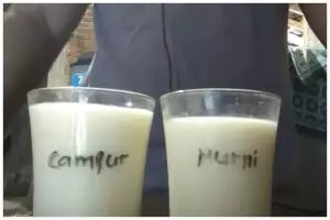 Tanpa mencicipi rasanya, ini trik membedakan susu murni asli dan palsu